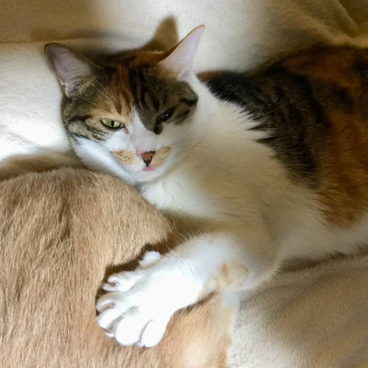 3a2992fa 8d25 449e 953d 3561f17bdc96 1668603798027