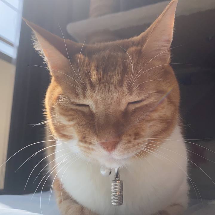 3a29e4c1 78cd 46d8 b770 5fd2b662bd34 1654769552572