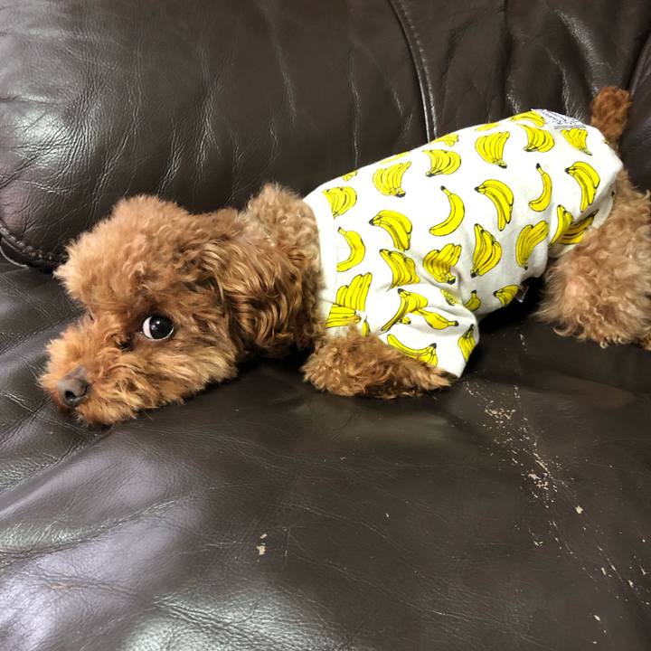 3a2a1d57 2291 4050 9834 c444acc92619 1554011629723