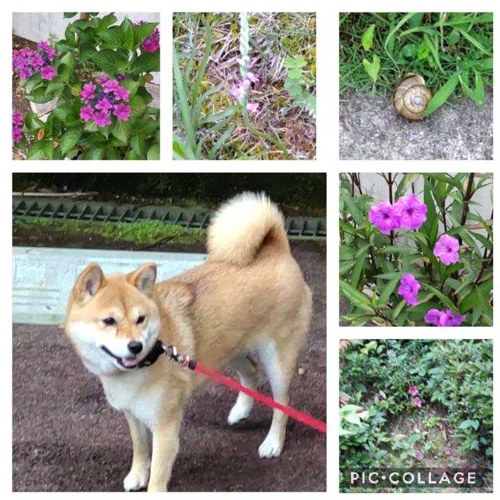 3a2a333f 9488 4810 9e38 661bf430d7b7 1655760895033