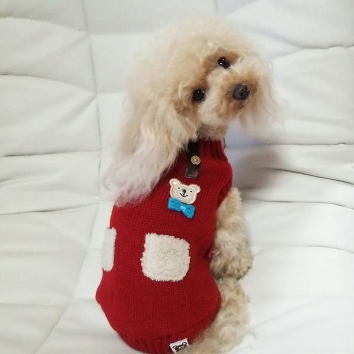 3a2a4fcc 77a2 4b0a bbb2 454d8849b1d7 1543998767157