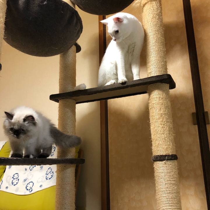 3a2a5b99 90a5 4d47 893a f9962b8d9343 1630669133089