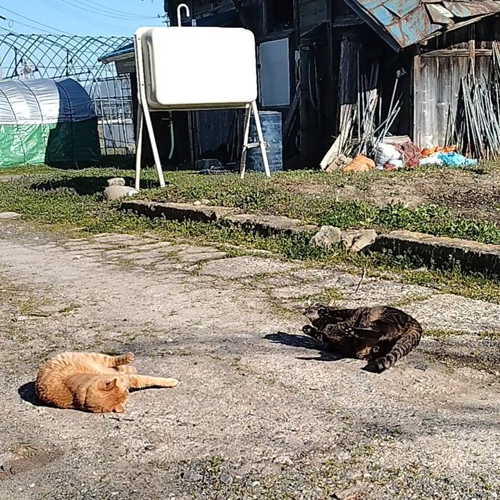 3a2a6607 f74f 477a 8079 4cfbcaf4435f 1712736568634