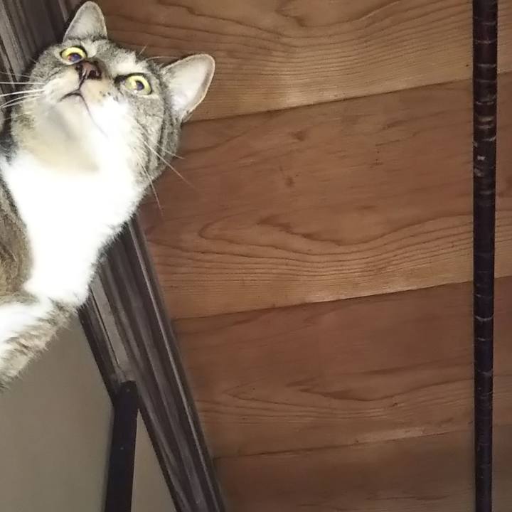 3a2a7d28 d51f 4a35 94aa c5e5dc1e8d84 1600856308319