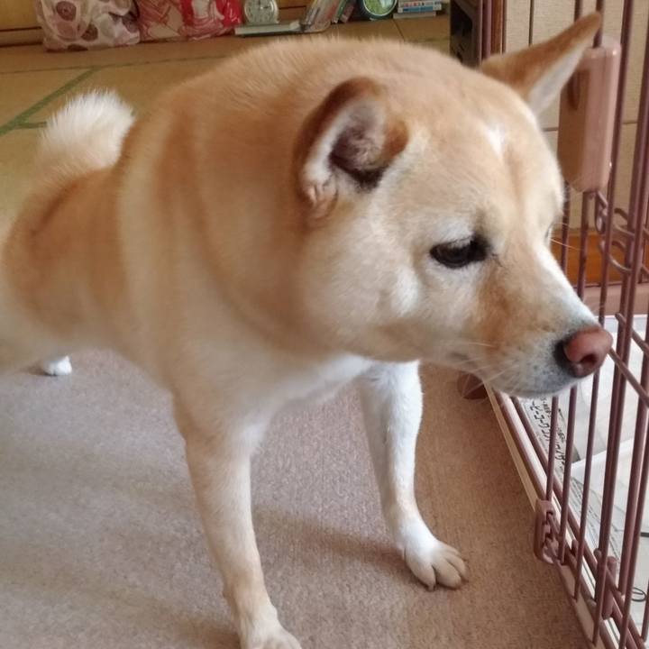 3a2a8998 77a8 48d4 a396 3c0cbbdd4ef1 1596681967003