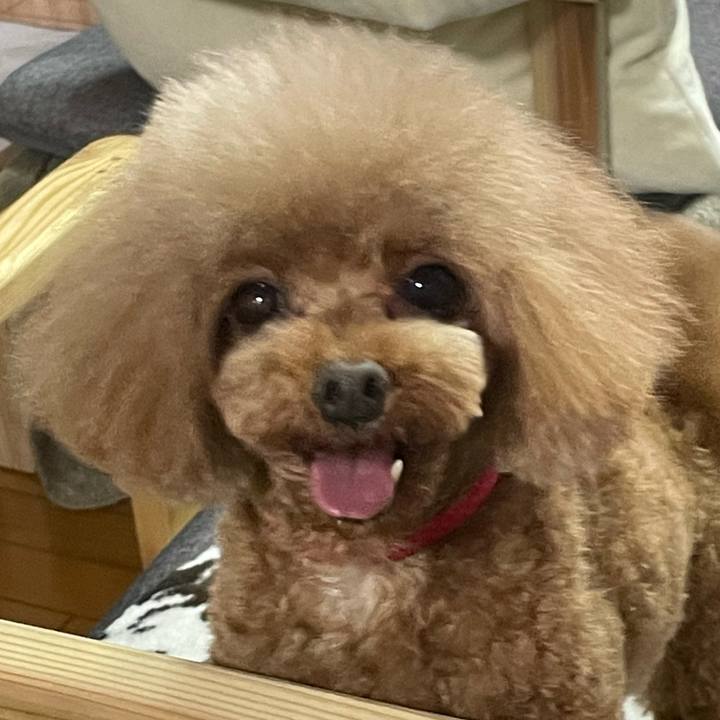 3a2a95d0 0377 41cd 975b bdded5bc59b3 1648269644903