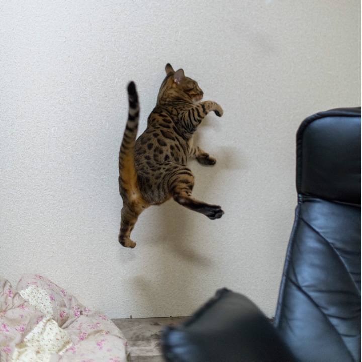 3a2a9b7c 8a11 4be7 b50f 609298b57d98 1517668268702