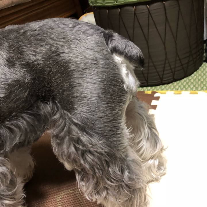 3a2aa426 66d5 45e7 b043 03c0ea463aca 1535627174073