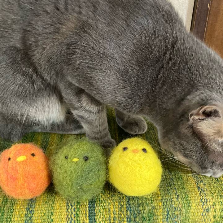 3a2ab0ed 8a67 4254 bc3f 3a1466f777c3 1647741487733