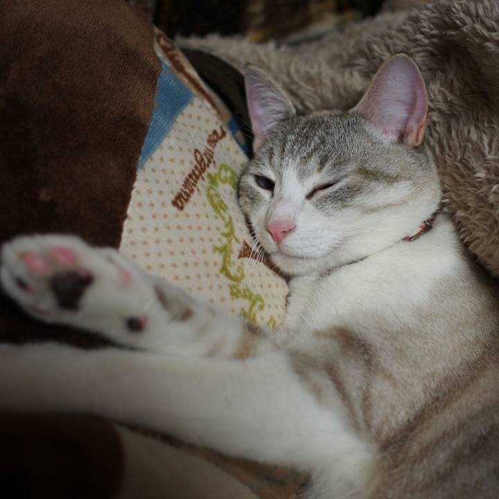 3a2ade02 7a61 4e26 abed 62b9c33d1207 1527497825266