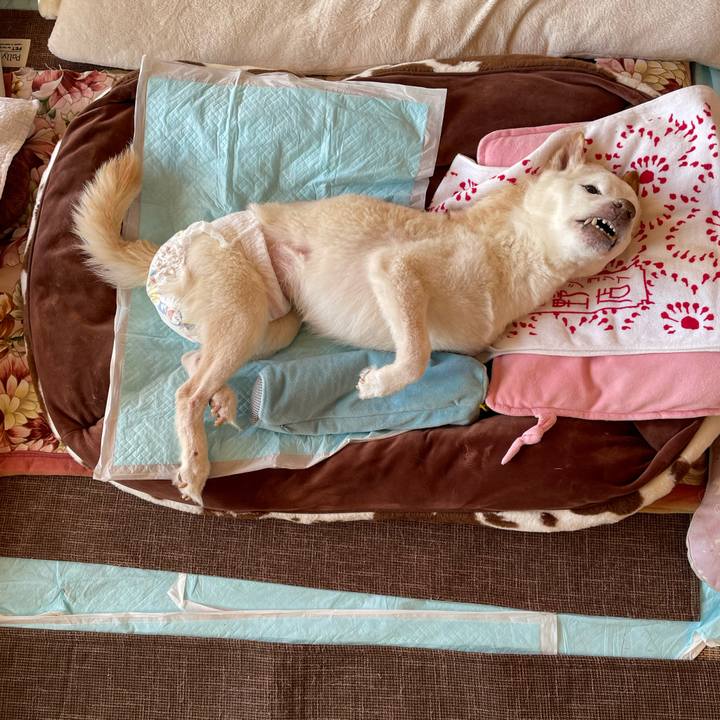 3a2b00e0 4ec9 4871 9b47 ea398411f046 1676503695381