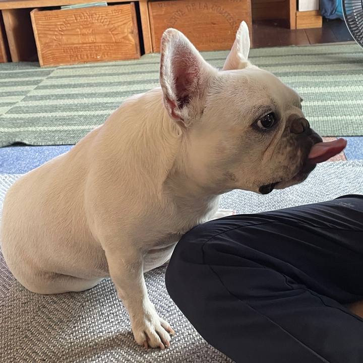 3a2b240b 7043 4d82 8a2d e9ff024476f3 1721949753430