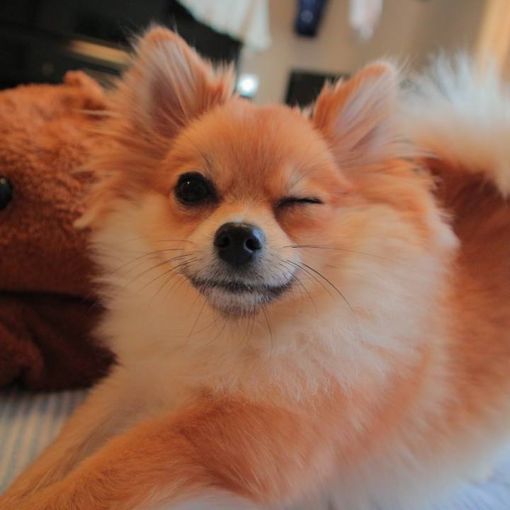 3a2b2a61 d4b0 4e1d b0f4 04efeaadb6d8 1512647462178