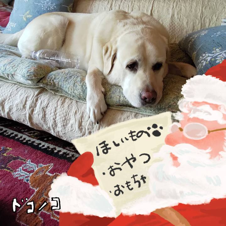 3a2b55c2 69ea 4780 9404 07084ac85f89 1729077198793