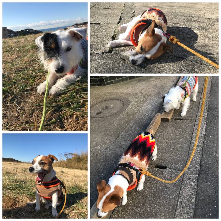 3a2ba7c6 c4b8 4c95 9d35 ea123d956eb8 1513127983943