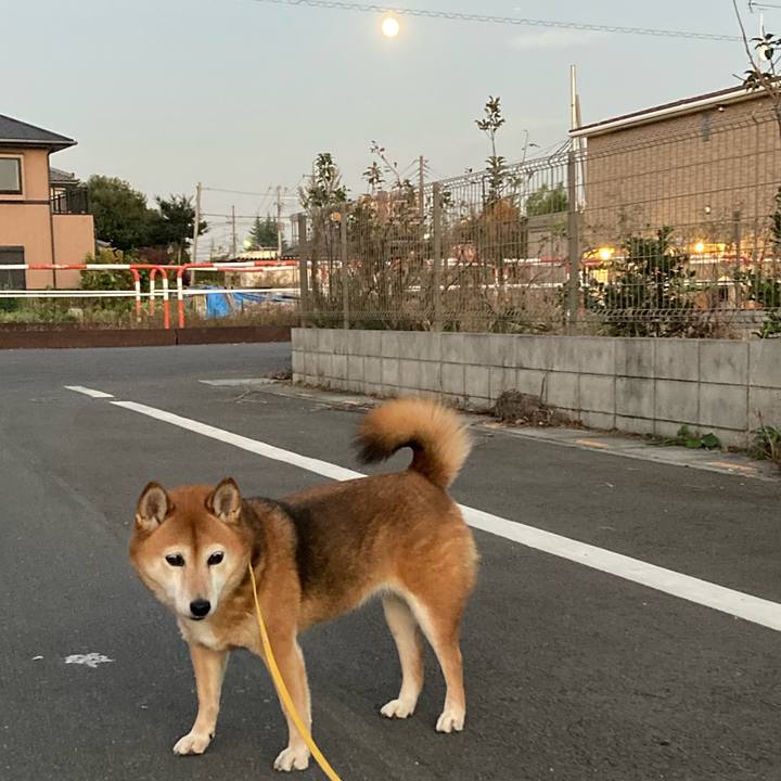 3a2be701 dda6 4bb8 90a1 e0f2d390e6d9 1637224332584