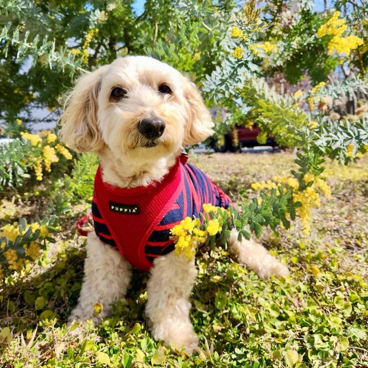 3a2c2b9a e08d 495b 8956 9763c8fb1756 1773634656321