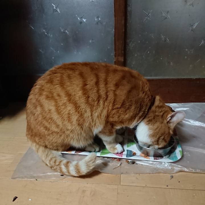 3a2c3311 a3b0 4a42 872c 401d34c8dac3 1607156288596