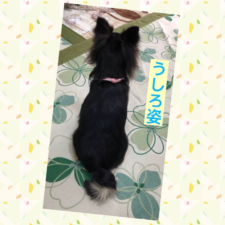 3a2cbcd8 e00c 4d35 b861 3e36bfcb38fc 1567807803495