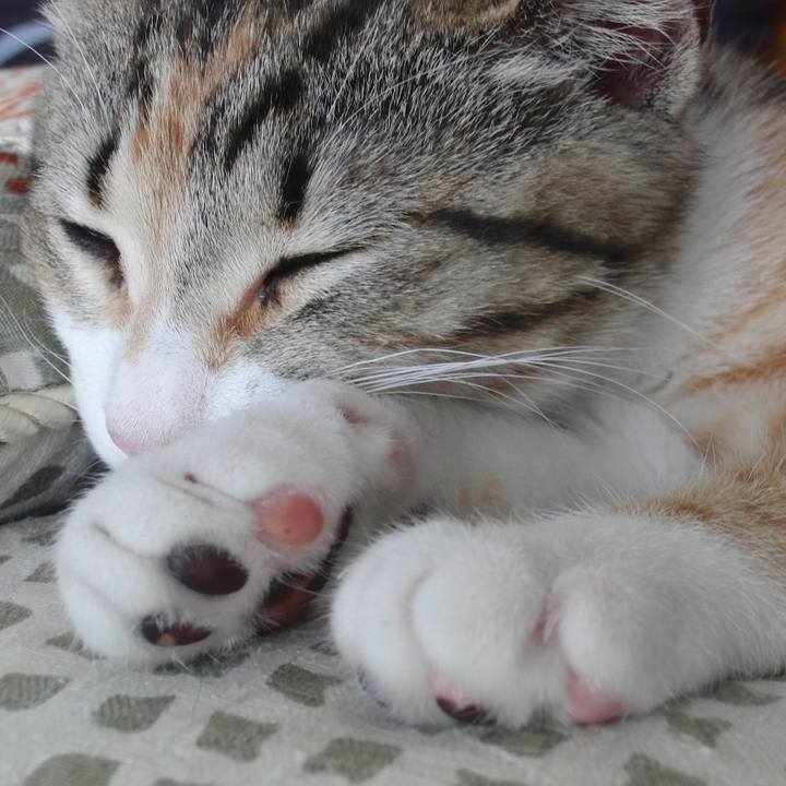 3a2d1930 62f7 420c a7af 27a6fbec1f13 1772024071729