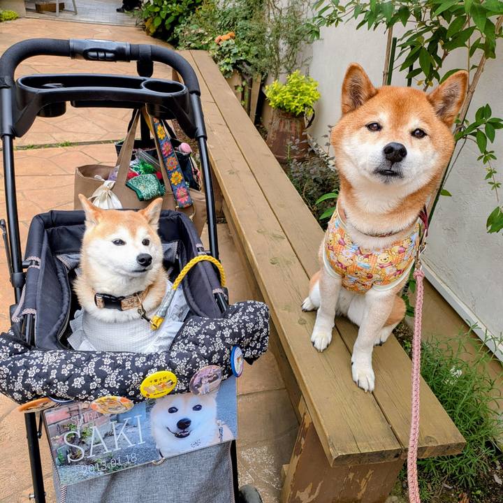 3a2d263a 746a 4c61 bcad 0c6b28f5546b 1748492062947