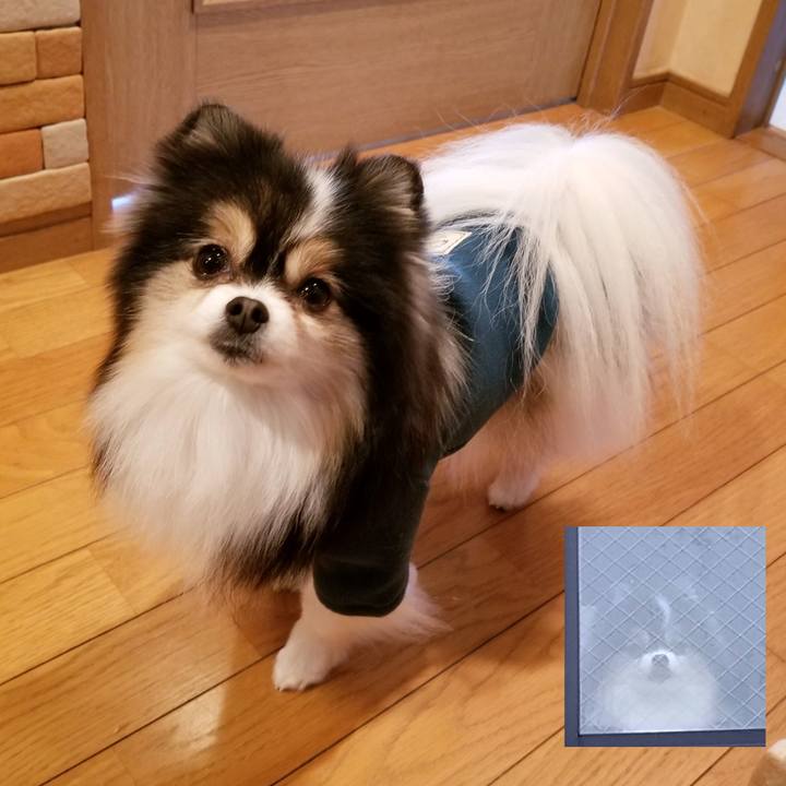 3a2d31df 9f14 48a2 bf6e 026d41246080 1578438909882