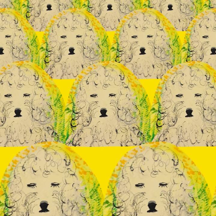 3a2d51bf bb7d 46e4 ab03 b68fe92d46a2 1614077388874