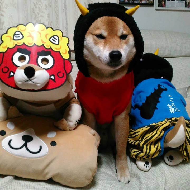 3a2d5b47 f333 4e76 ae57 0ce1a042b8e0 1517485450169