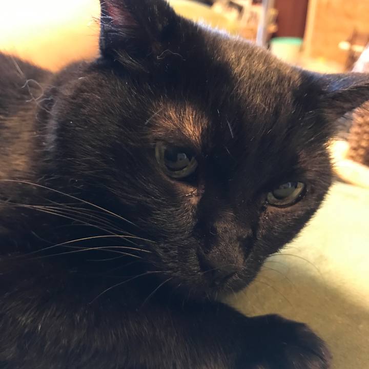 3a2d6dd2 c9d3 48ea 83a5 3d20c6f185eb 1566459875942