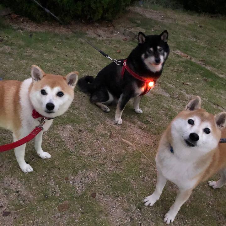 3a2d7610 31f0 4495 b2f1 1c36c954eb35 1570747735516