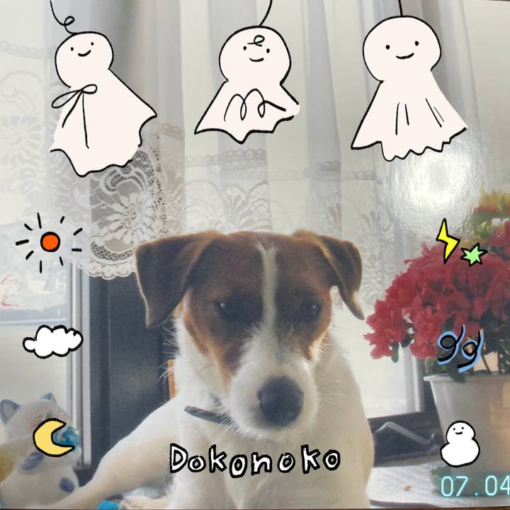 3a2d8f48 bf0c 48d7 ac81 7e44e46a7a1e 1749514080950