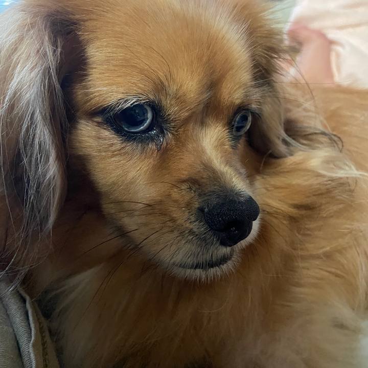 3a2d91b0 cc85 460c a3d7 69afcb6e1d2d 1666128743307