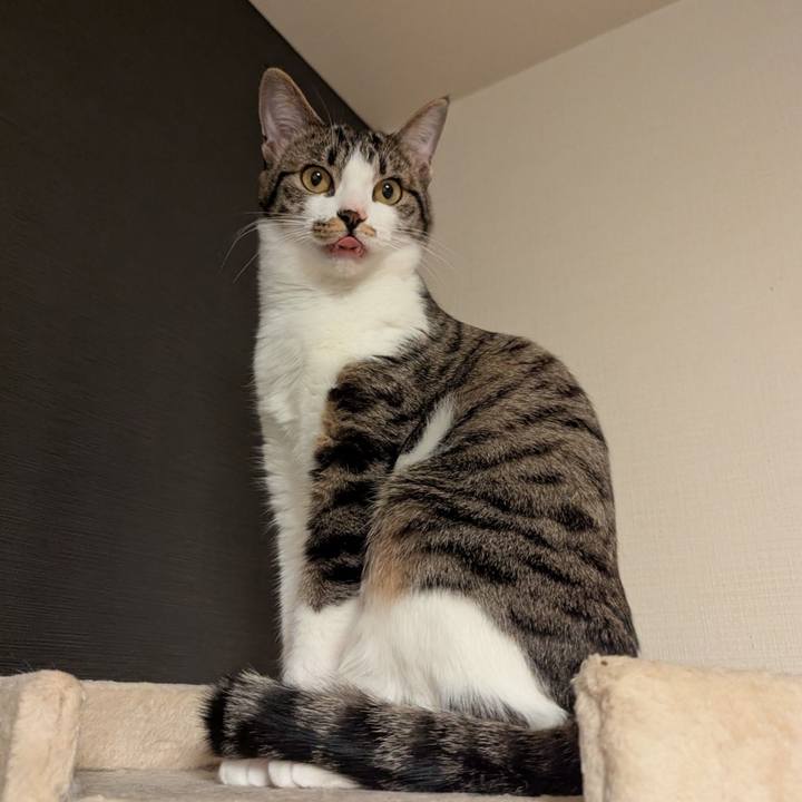 3a2da9f6 dab5 4120 af16 4295d715f800 1741343025477