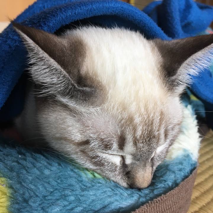 3a2dee81 4e25 41fb 9cfa 1db4b0b5192d 1543546185410