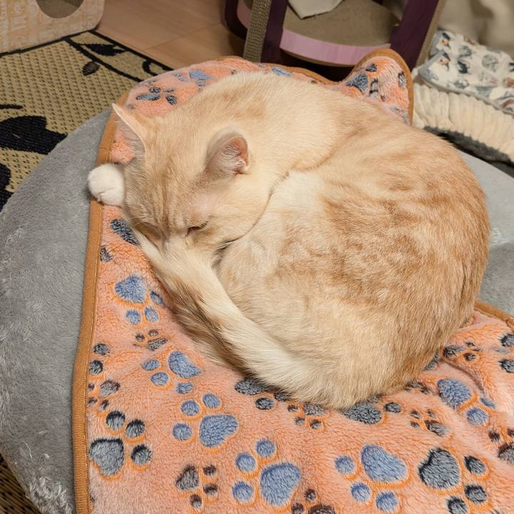 3a2df471 7d0b 487f 98c5 1700b9cf39e3 1721120817373