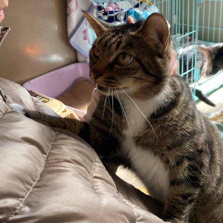 3a2e13ff 3bb1 43ab a705 a04fbc4bd5fe 1701939552637