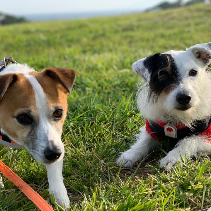 3a2e5348 ee46 4da0 9ce2 5e7393095264 1620116704722