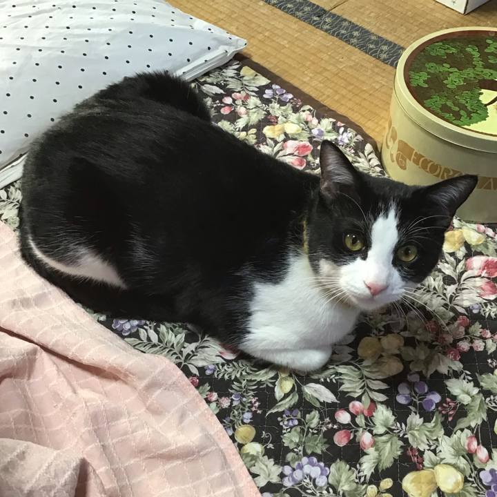 3a2e85be bb7f 4dcd bb2a b692abe22770 1646552961823