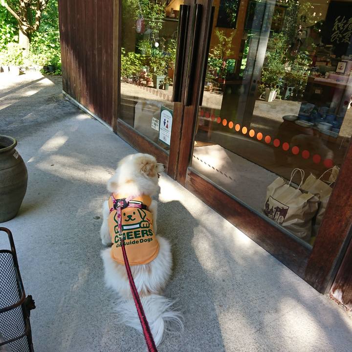 3a2ea4b9 06fa 4394 b4fa 015677b2f75f 1528873756855