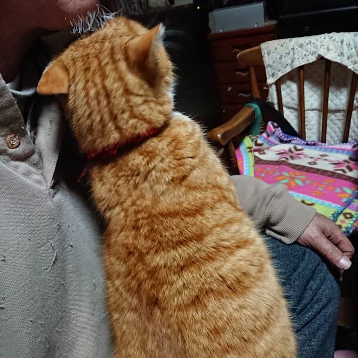 3a2eab67 39b7 43a9 ac2b 9b75637b46e0 1579031847044