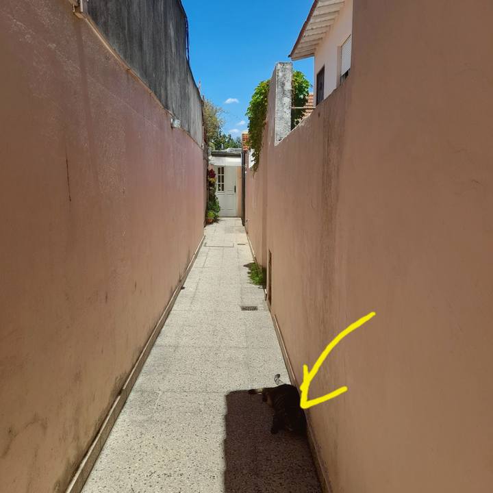 3a2eaea4 142e 4269 ba31 a910d28dfa99 1764985495644