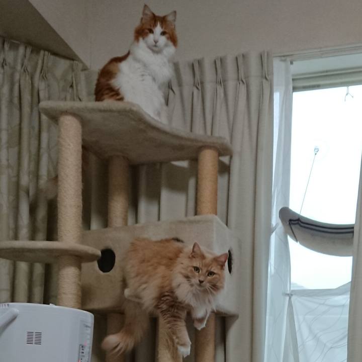 3a2ecf91 0f7e 4c66 babd 1185439a4f4f 1576766906002