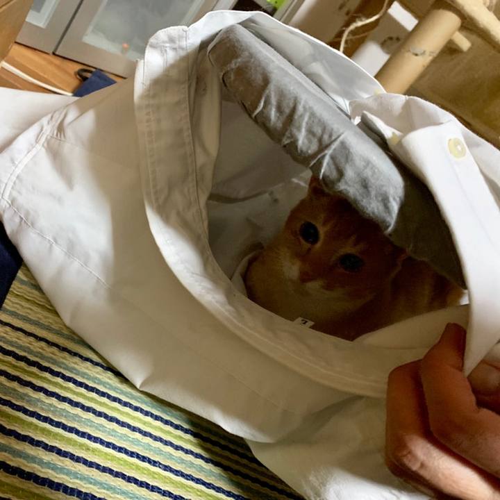 3a2efb75 5994 4741 9e6e 7fa863ef25f0 1560262974262