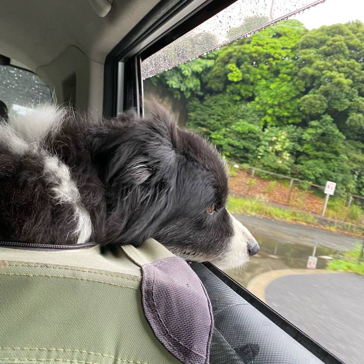 3a2f25b9 eafa 425c b1a6 ca406a6c5ebc 1687298907967