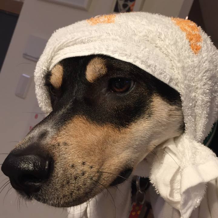 3a2f87b4 2ab1 41cd 952a dc2fe7d69642 1509343059501