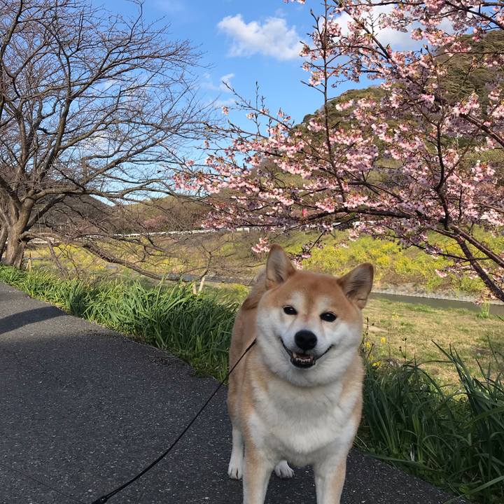 3a2f94c0 b7d8 4fd5 8d3b 08ee296ee475 1552119473896