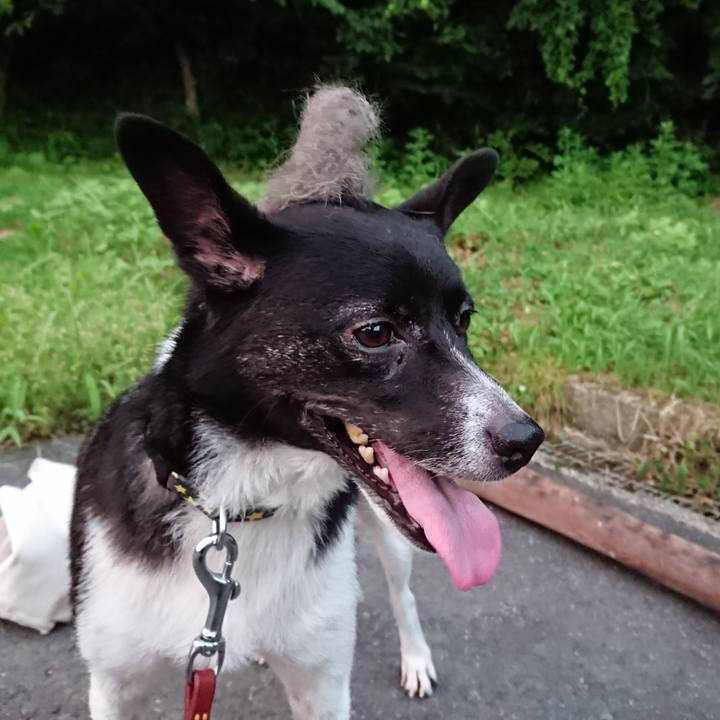 3a2fb48e 54fe 4bb1 b5f8 4e7fca192833 1531911396881