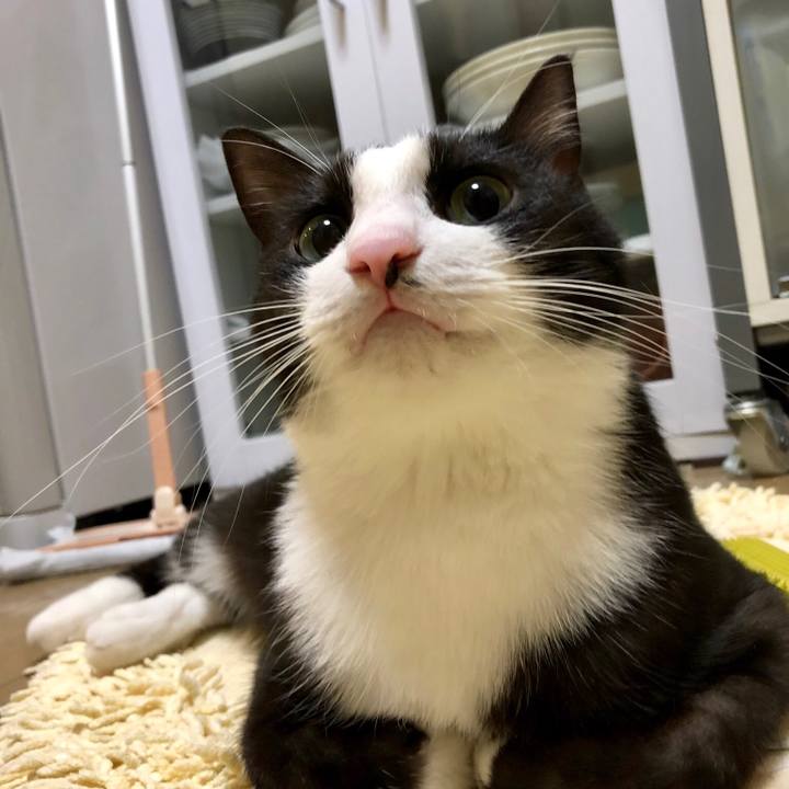 3a2fbb70 dd4e 428c 8af8 a61e5a9e9106 1542543343713