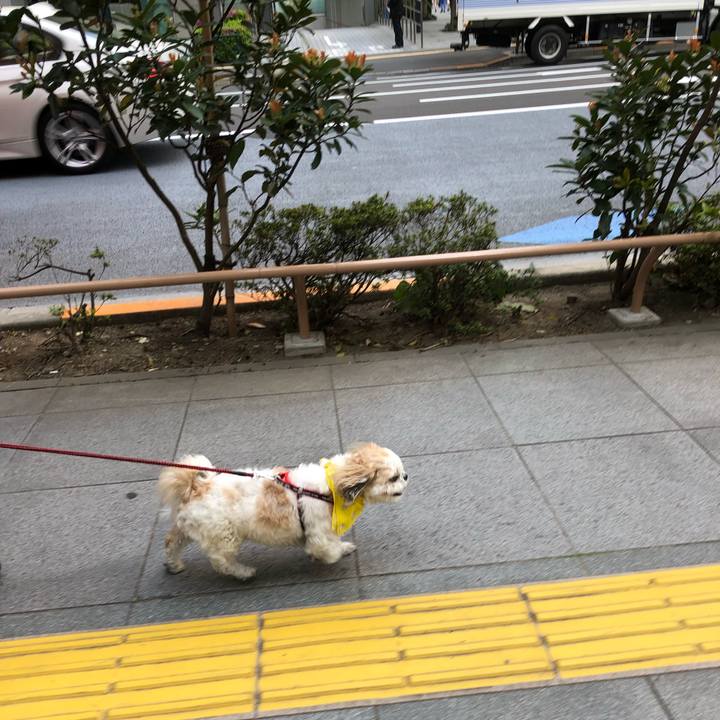 3a2fc429 2945 4274 8a0d 4012a0c0802d 1555882799775