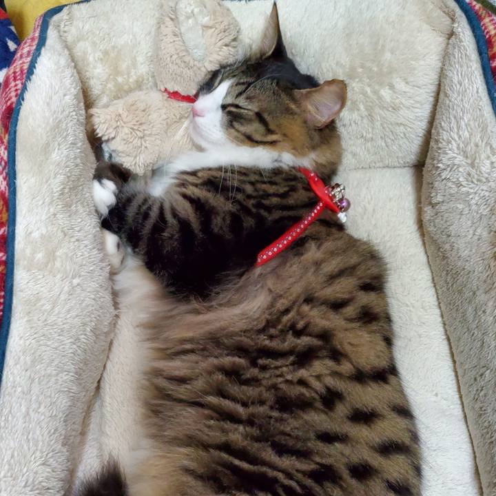 3a2fe073 3836 4c82 87b1 83acef160899 1665552655126